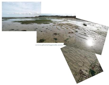 Marée basse à Carantec