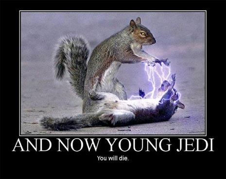 Cinema - And now, young jedi, ...