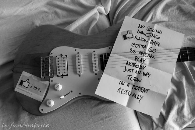 Evanson,le funambule,rock,concert