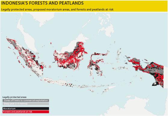 Indonésie : le projet de moratoire sur la déforestation est insuffisant