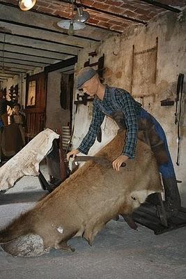 Comme une leçon de chose bis, de la ferme à l'assiette