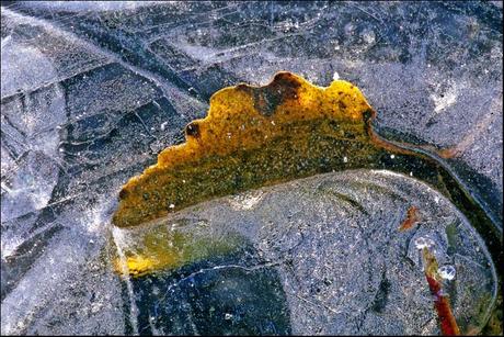 Aurait-il plu cette nuit? (Ueda Akinari)