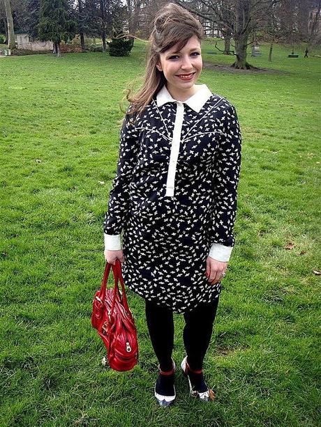 Un oiseau ou plutôt un oisouille... DSC05619