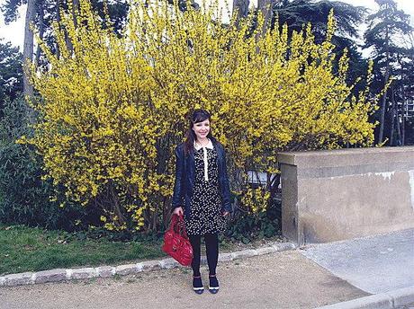 Un oiseau ou plutôt un oisouille... DSC05631