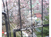 Cheap girls lemuria "lemuria