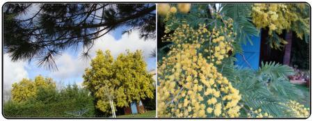 Julien en vacances, 28 février 2011