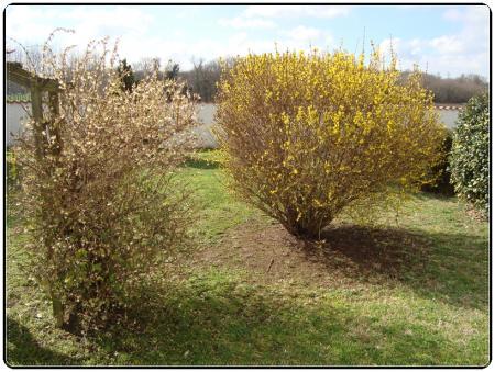 Julien en vacances, 28 février 2011