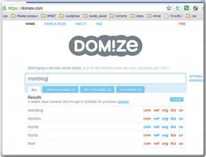 domize.com