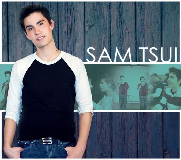 Reprise de Hold It Against Me par Sam Tsui
