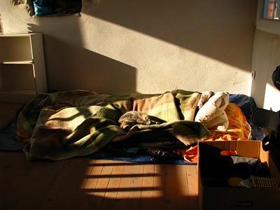 DéfifotoRejets d'escaliers