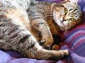 DéfifotoRejets d'escaliers