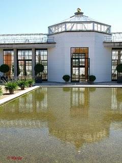 L'orangerie royale