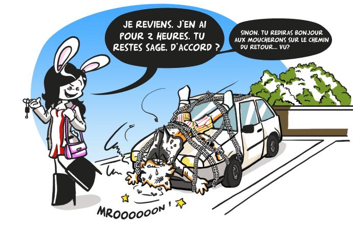 Parfois, je veux tuer mon chat !