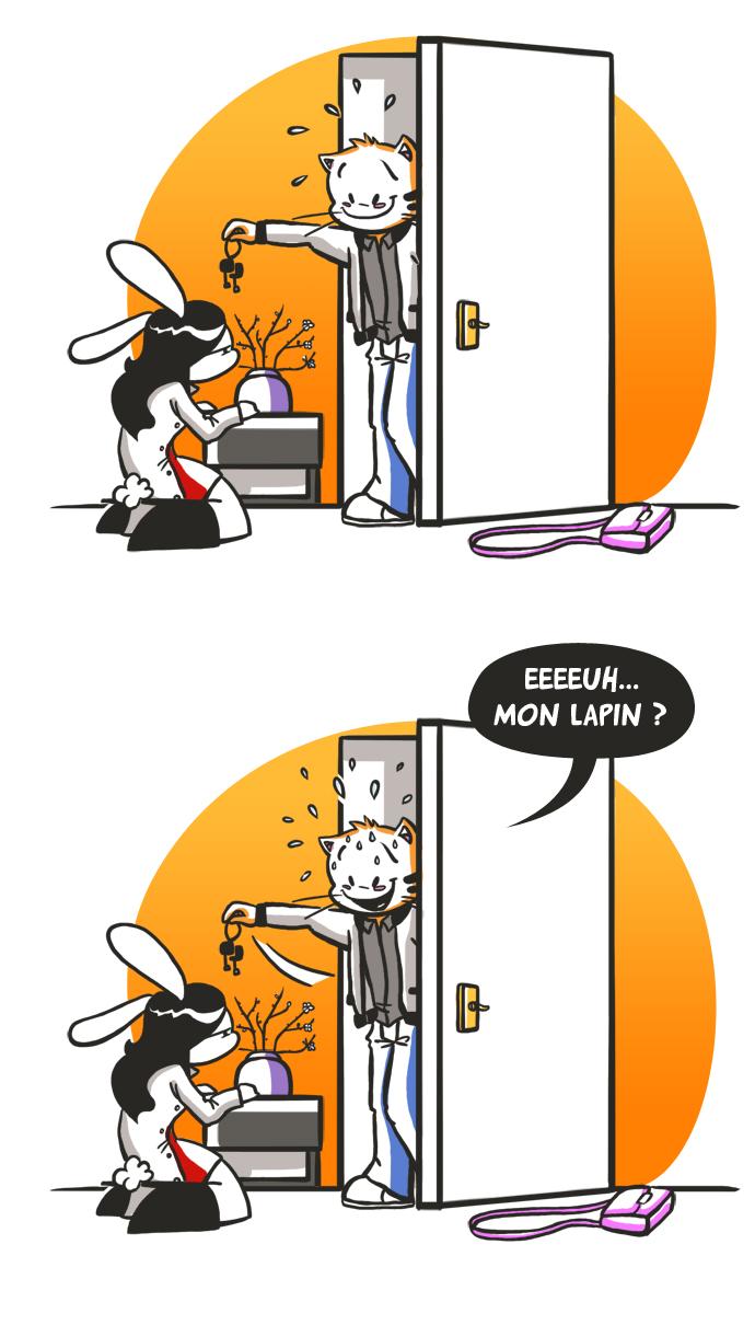 Parfois, je veux tuer mon chat !