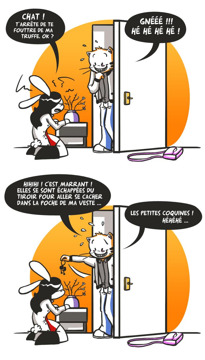 Parfois, je veux tuer mon chat !