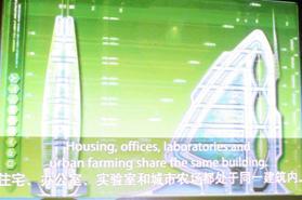 A la découverte de quelques pavillons de l’expo universelle de Shangaï…