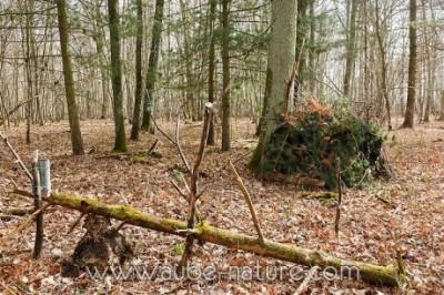 Technique : un affût et des oiseaux