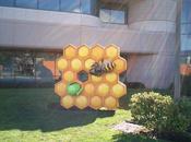Honeycomb s’installe dans jardins Google
