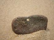 chose qu’on regarde (Roger Munier)