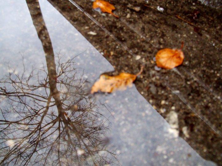 Le lieu où je suis, quel est-il? (Roger Munier)