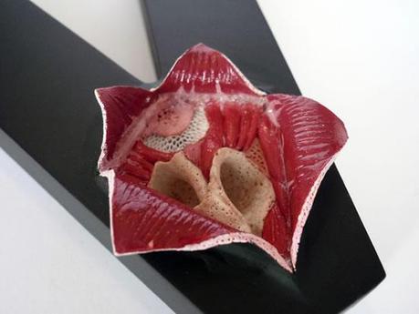 Opération à typographie ouverte. Et si la typo était un élément organique ?