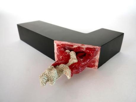 Opération à typographie ouverte. Et si la typo était un élément organique ?