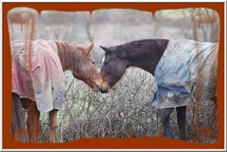 Catherine&nbsp;&nbsp;m'a fait l'honneur de m'attribuer po...