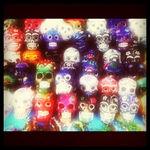 5434802985_edfbb86bf2_z_large