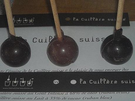 2 AUTRES PARTENARIATS DSCN0014.JPG