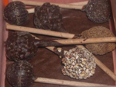 2 AUTRES PARTENARIATS DSCN0011.JPG