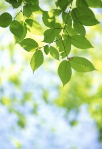 Pourquoi choisir les couches lavables ?