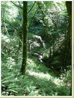 Circuit du ruisseau de Lamolde (Lot)