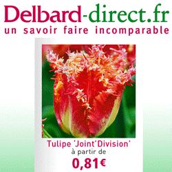 Belmont (12) - Exposition sur la fabrication traditionnelle du livre