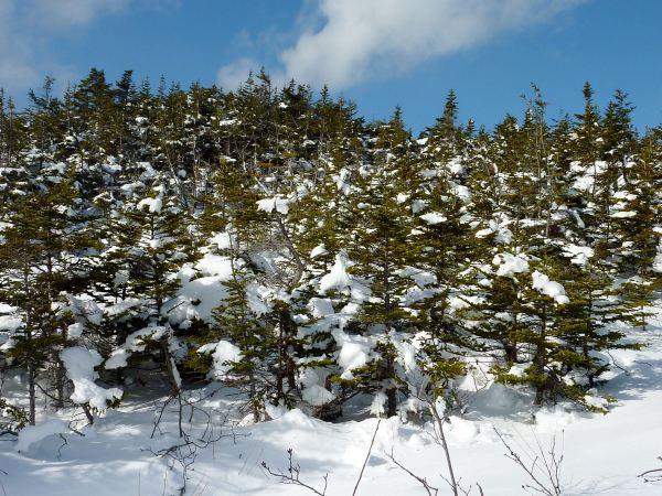 Ballade au barrage du Goeland