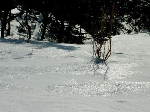 Ballade au barrage du Goeland