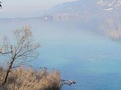 L'Abbaye d'Hautecombe Savoie (suite)