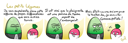 16 Les Petits Légumes