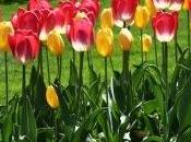 Nouvelle campagne dangers pesticides