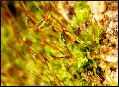Une dernière tite goutte !