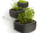 Concept jardin urbain Haldane Martin