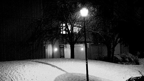 Bois-cadet-nuit-neigeuse-decembre-2010.jpg