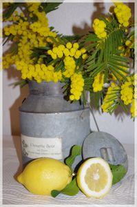 minosa_032_modifi__1