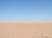 terrible n’est néant (Roger Munier)