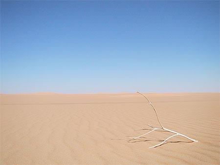 Le terrible n’est pas le néant (Roger Munier)