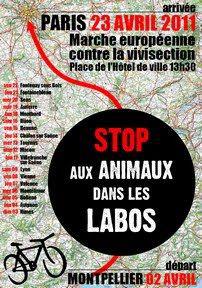 affiche_operation_velo_small