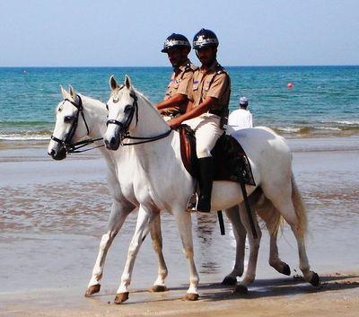 La police montée d'Oman (c) kuwaitswimming