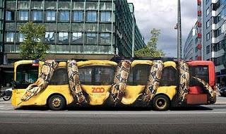 Lovely buses!