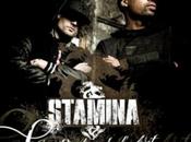 Album STAMINA regles l'art