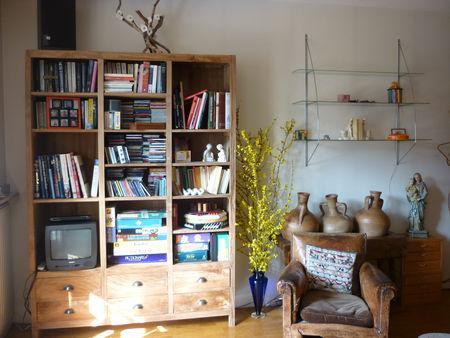 Photo du dimanche : bibliothèque ! P1100241