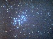 Dans vide tremblent étoiles (Zéno Bianu)